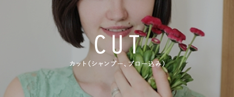 カット（シャンプー、ブロー込み）