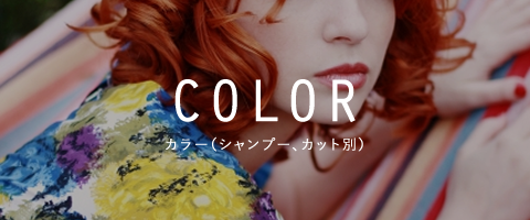 カラー（シャンプー、カット別）